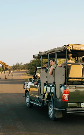 Southern Africa Safari Trip