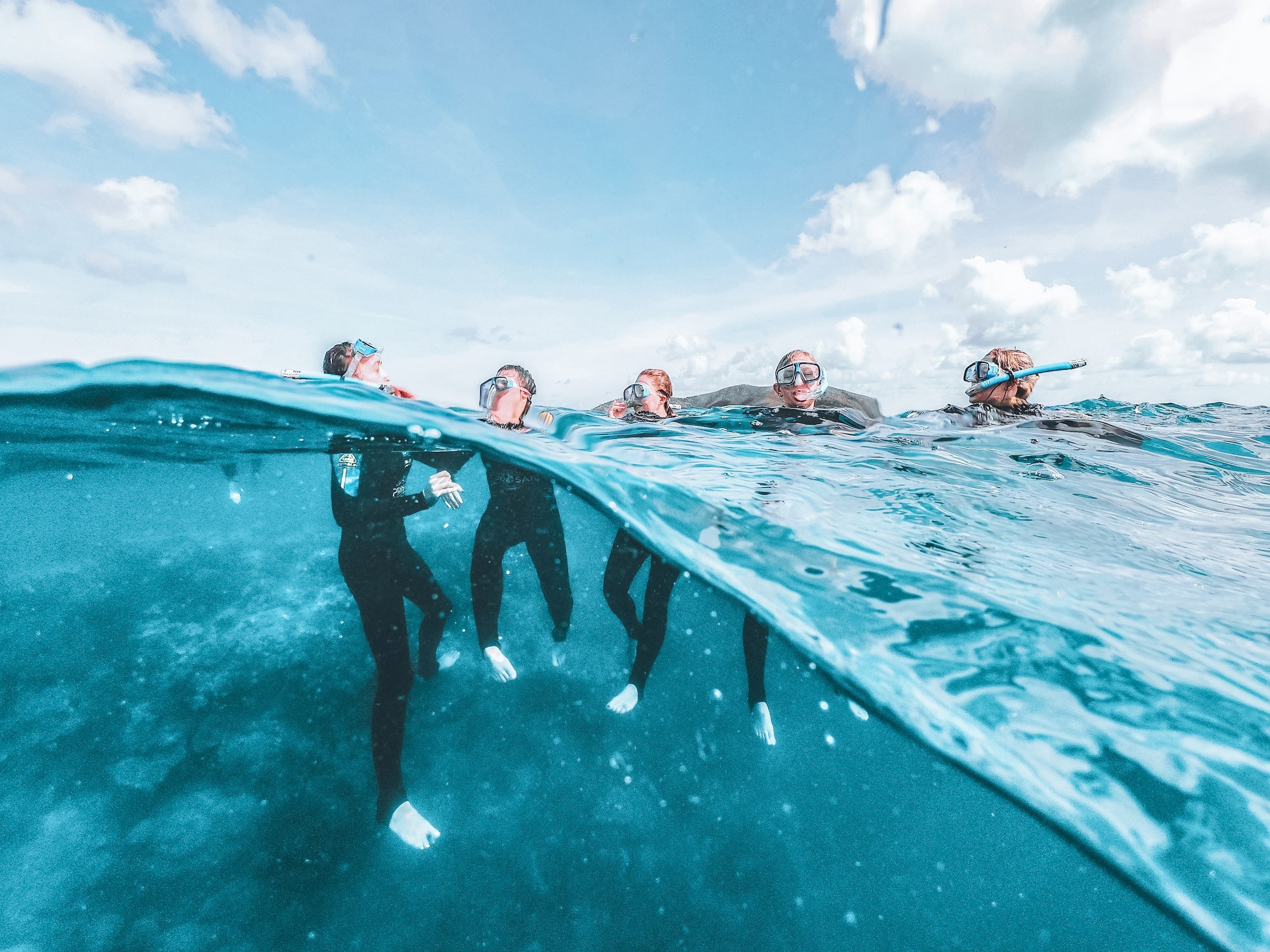 Great Barrier Reef Explorer (3 Days) | Contiki US